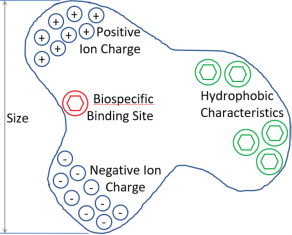 Chromatographic separation
