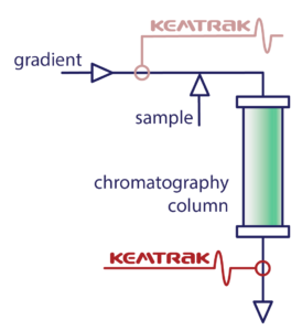 A chromatography column with Kemtrak analyzers upstream and downstream.