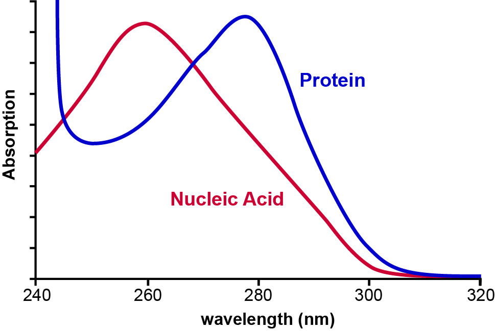 Protein measurement Application note Kemtrak